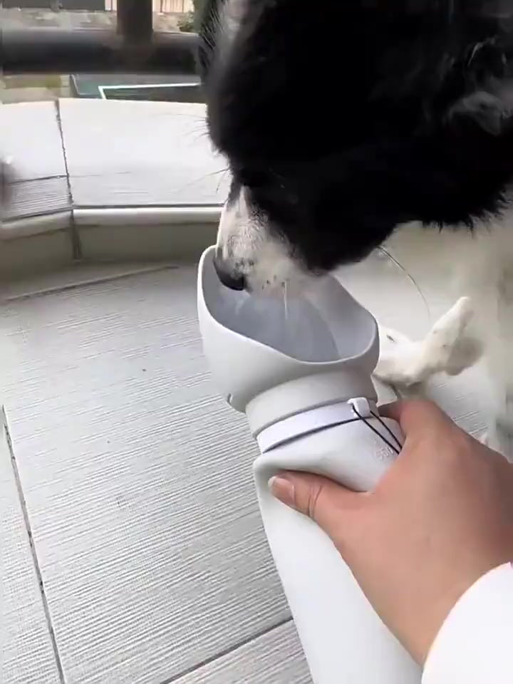 Garrafa Dobrável de Silicone 550 ml para Pets